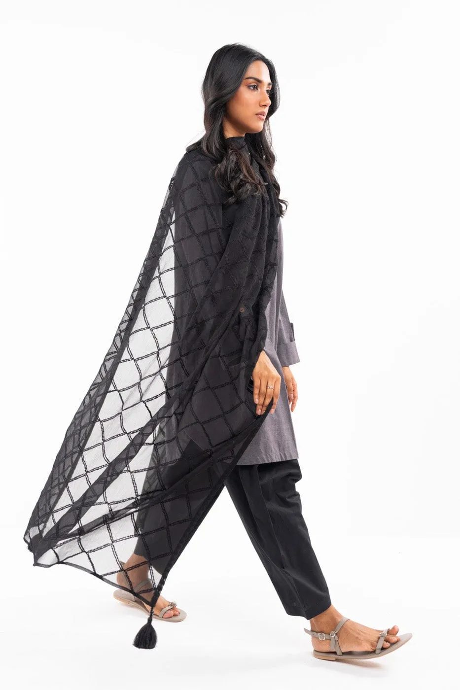 1 Pc Embroidered Chiffon Dupatta