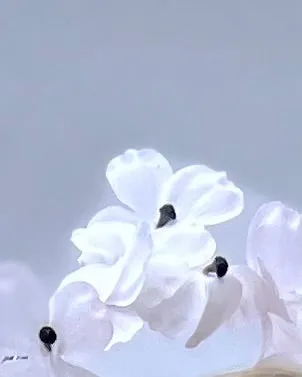 Floral halo